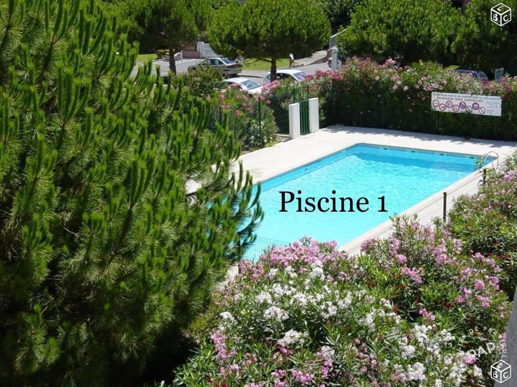 Flore Le Grau-du-Roi Exteriér fotografie